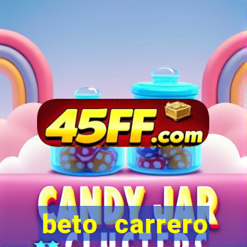 beto carrero cidades proximas
